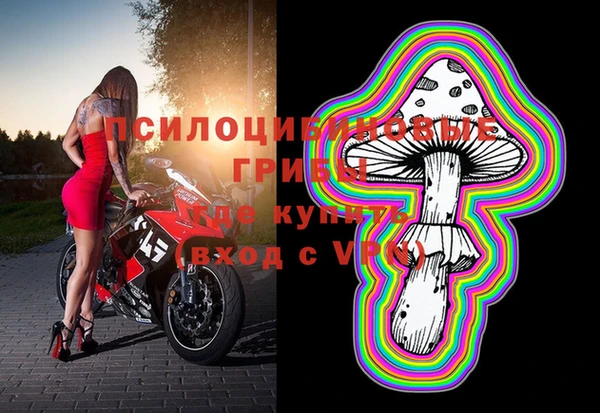 PSILOCYBIN Абинск