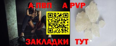 гашик Камышлов