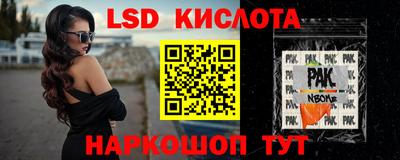 гашик Камышлов
