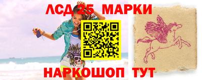 гашик Камышлов
