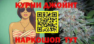 гашик Камышлов