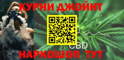гашик Камышлов