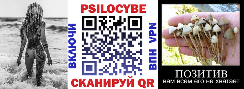 продажа наркотиков  Прокопьевск  Псилоцибиновые грибы GOLDEN TEACHER 