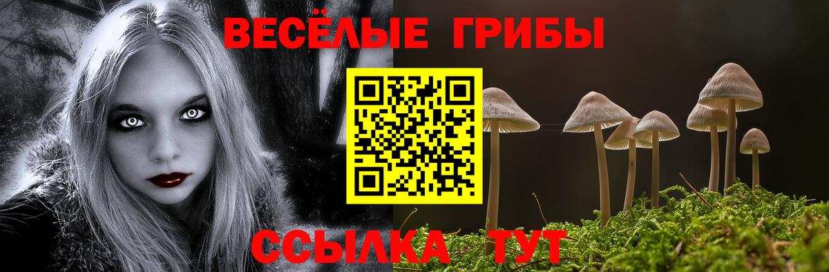 Прокопьевск  Псилоцибиновые грибы Magic Shrooms  Вход с VPN  Псилоцибиновые грибы мицелий 